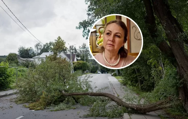 Arboristė, Lietuvos arboristikos akademijos direktorė Kristina Žalnierukynaitė. Fone – audros Vilniuje padariniai.
