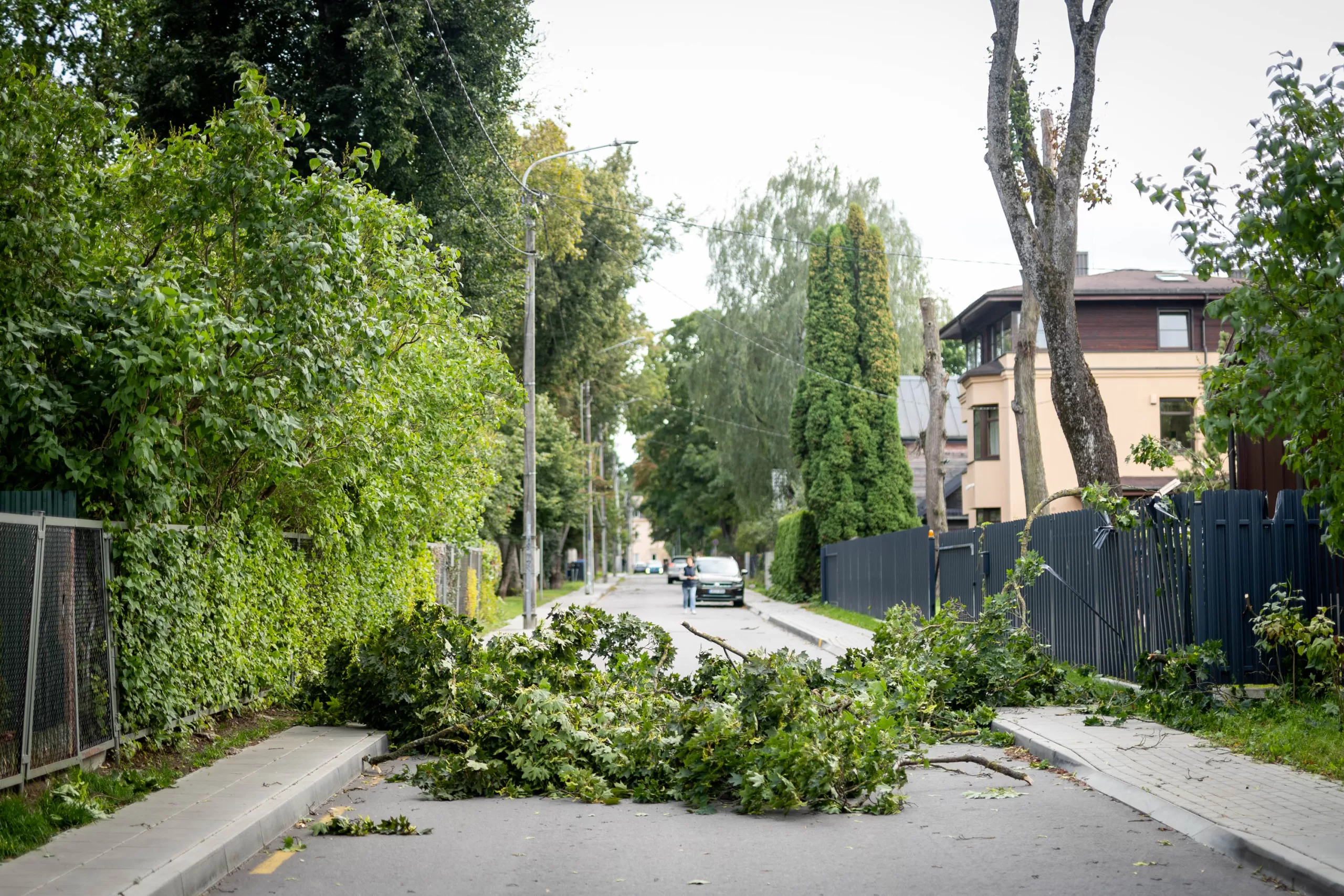 Audros padariniai Vilniuje