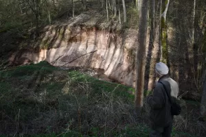 Broliai Černiauskai, gamta