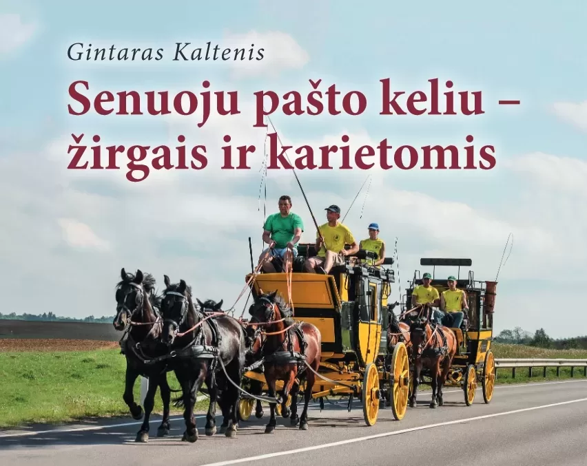 Žirgai