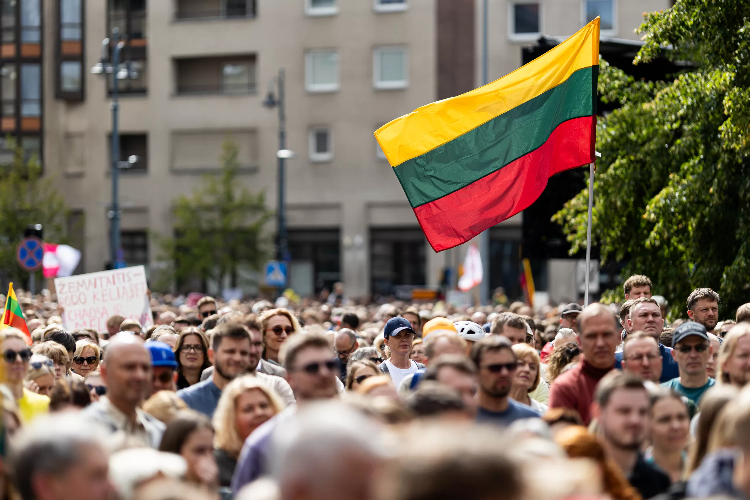 Protestas, Lietuva, trispalvė, vėliava, mitingas